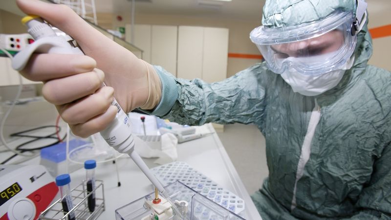 Do dvou let bude univerzální vakcína proti všem kmenům chřipkových virů